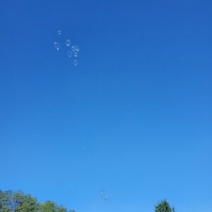 Meet your Posher, Erica